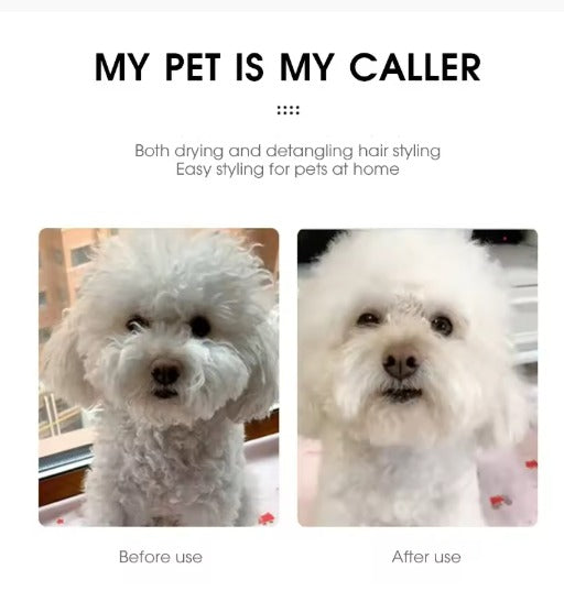 Cepillos secador para mascotas